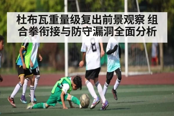 杜布瓦重量级复出前景观察 组合拳衔接与防守漏洞全面分析
